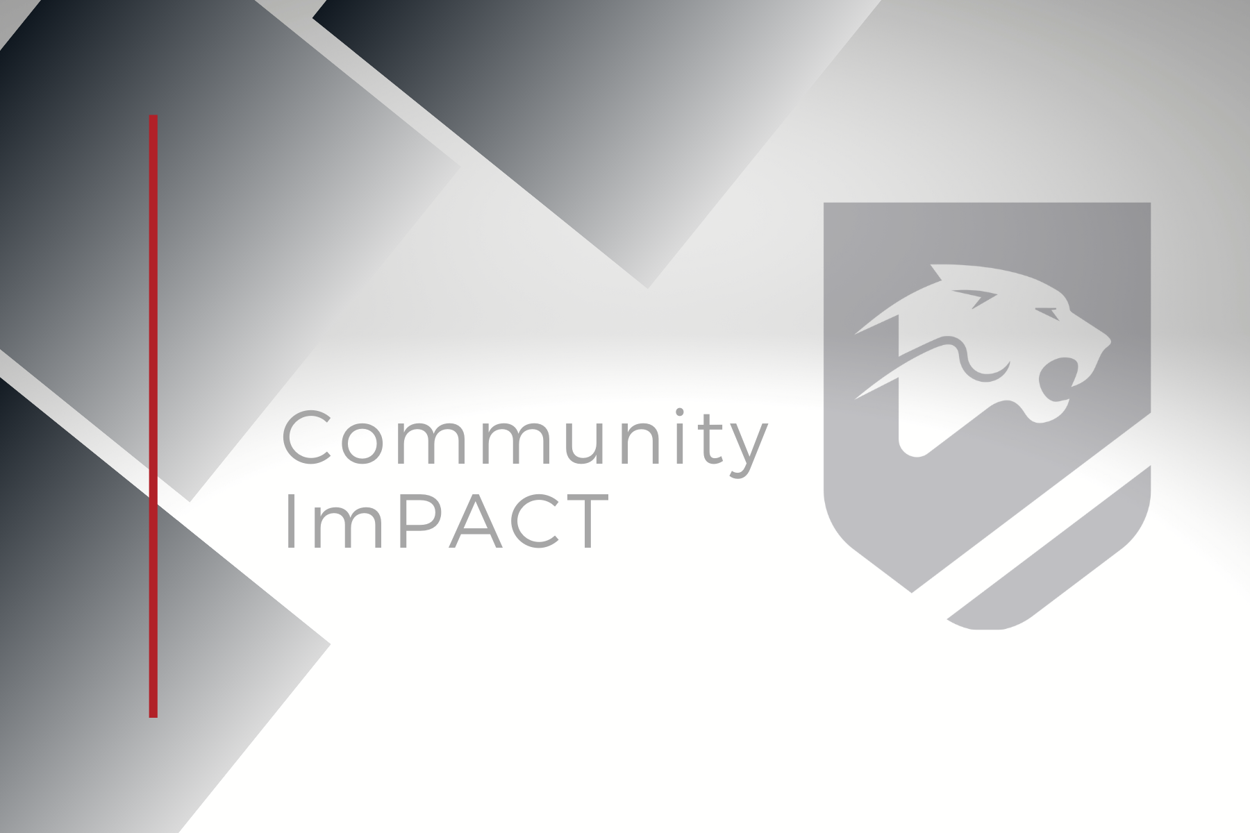 community impact